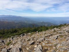 michell����̓V���䍂���ւ̓��e�ʐ^1