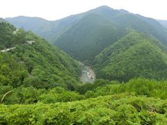 ^bN̗R|Yp[NEFCւ̓eʐ^1