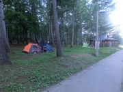 _ChKXĝ鎩Ȓ̓eʐ^1