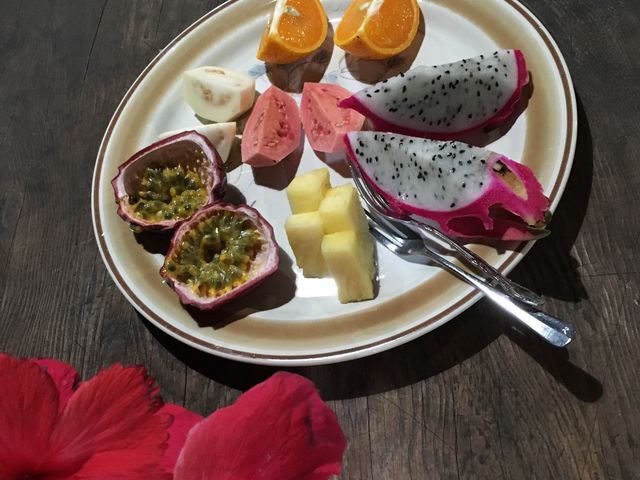 �������I_���v���t���[�c�K�[�f���i�p�p�C���̗��j