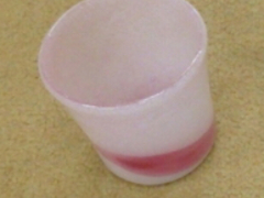 Kق񂳂̗KX@ĂH[ւ̓eʐ^1