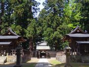 �܂������̏㐙�ƕ_���̓��e�ʐ^1