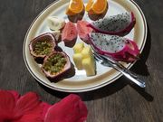 K�ق񂳂�̉��v���t���[�c�K�[�f���i�p�p�C���̗��j�̓��e�ʐ^1