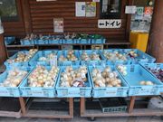 Ƃ񂳂̓̉wؕ̂ӂ邳ƊٓY̔̓eʐ^6