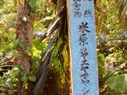 �W���b�L�[����̃E�u���h���̃��G���}���V�Q���̓��e�ʐ^1