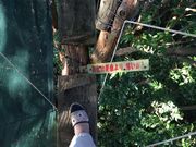 Kق񂳂̏LLmbs̓eʐ^1