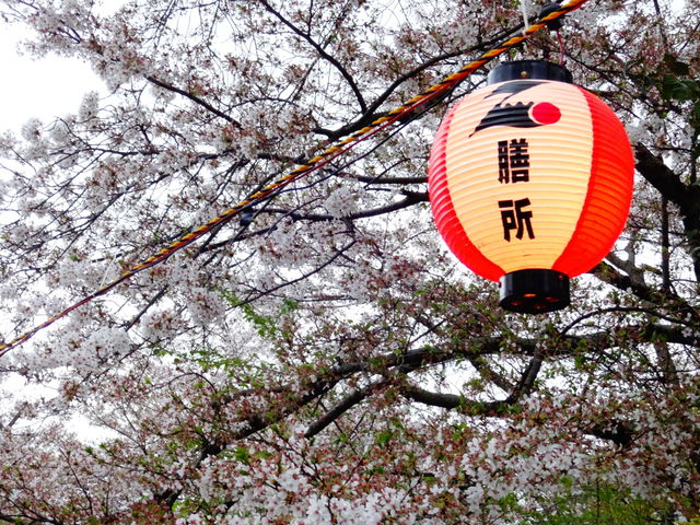 �V����Ռ����̍�_�V����Ռ����̍�