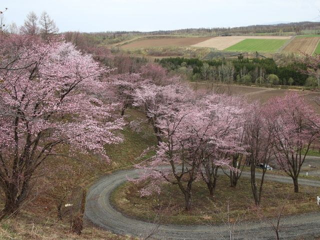 ���̐[�R��_�[�R���W�]��