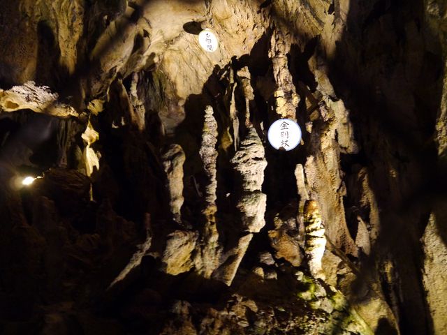 ���͂���Ȋ����B_�����ߓ���