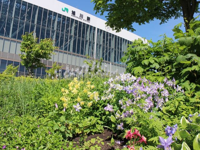 �i�q����w���ɂ���܂�_�k�ʓs�K�[�f��