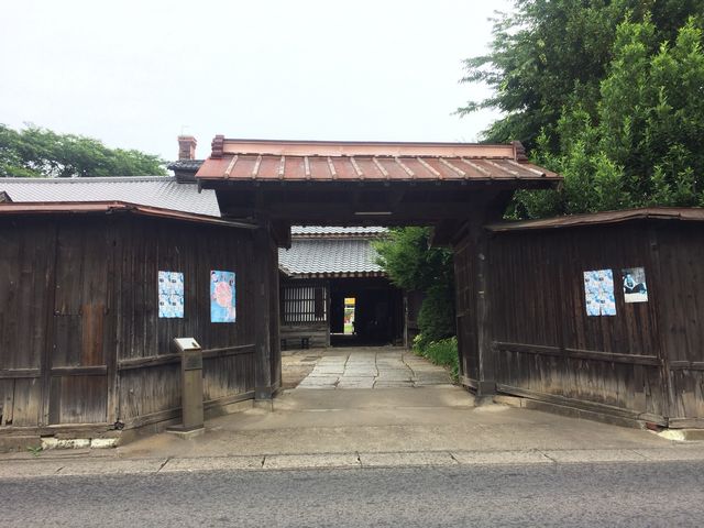 �����_�����