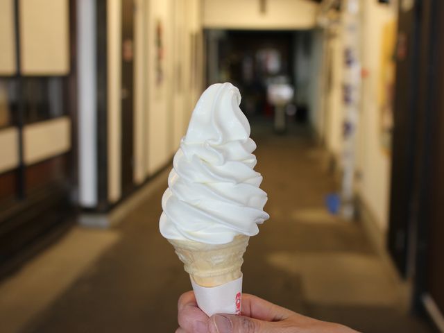 �𔔃\�t�g_����������