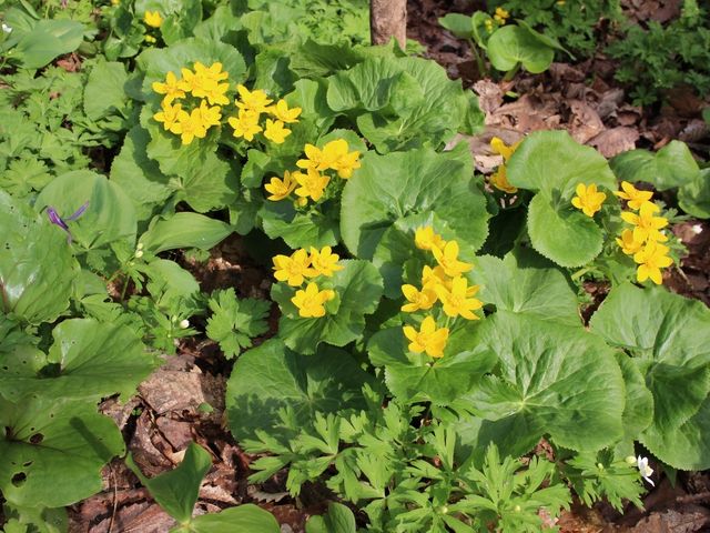 �G�]�m�����E�L���J_�j�R���R����