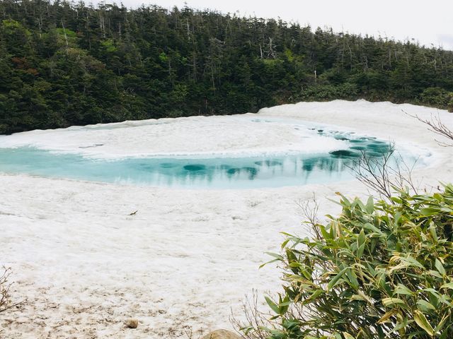 �������̋�����������̍������A�h���S���A�C�B�ʐ^�ȏ�ɔ������G�������h�O���[���ł����B_������