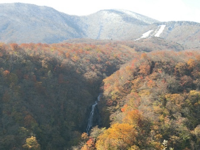 �ꌩ��_�����G�R�[���C��