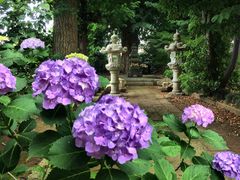 �݂�����̌��钩���̕�ւ̓��e�ʐ^1