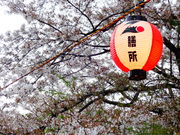 ���ǁ[����̑V����Ռ����̍��̓��e�ʐ^1