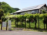 JOE̎R𗬂̋Ԃق̓eʐ^1