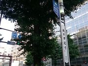 񂿂񂳂̓V_낸ʂ̓eʐ^1