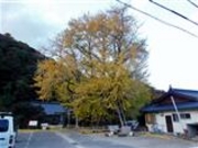 �Ðh�F����̋Ղ̑��ǂ̓��e�ʐ^2