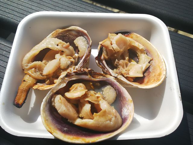 �v���Ԃ�̂���������_�t��