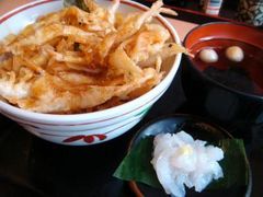 �܂�����̔����ђ��ւ̓��e�ʐ^1