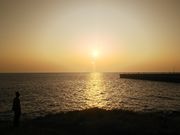 ܂낿񂳂̏YC̓eʐ^1