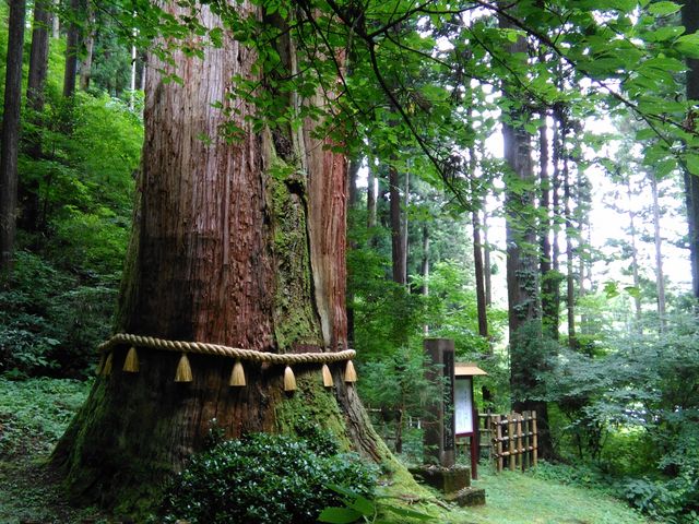 御岩神社