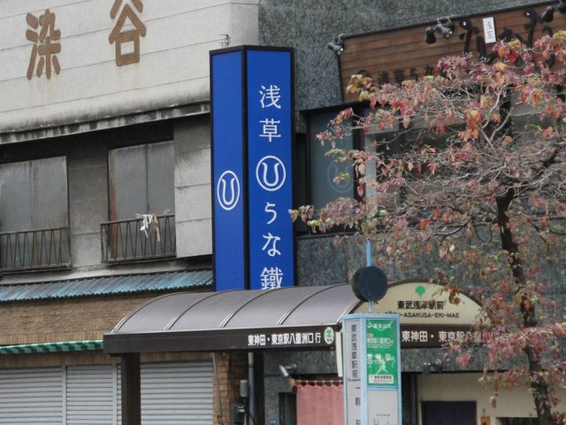 Gh̐󑐂cE󑐉wOX̓eʐ^1