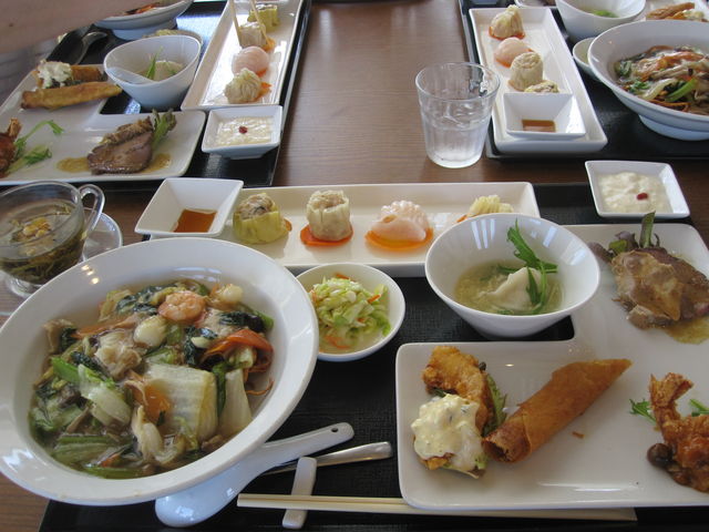 ҂҂낳Pati chinowa FUJIKAWA̓eʐ^1