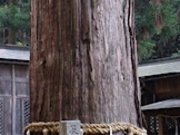 �A�N�Z���[���J�C����̓��}�_�Ђ̑吙�̓��e�ʐ^1