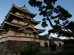 COBRA̎jՍՁiʑjւ̓eʐ^2