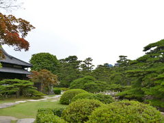 COBRA̎jՍՁiʑjւ̓eʐ^3