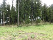 dai-neko̖xVˌÕ̓eʐ^1