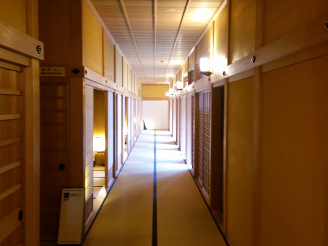 ������_�ܗŊs��