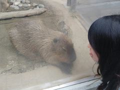 ̐EW ANAggӂւ̓eʐ^1