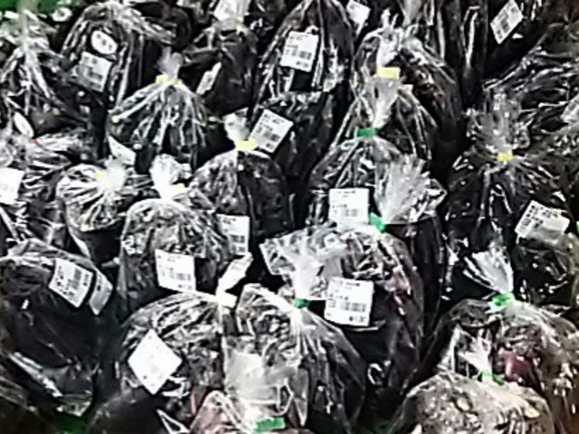 ��؁A�i�X�B_���̉w ������