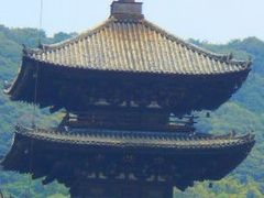 X}C̖@ώi̓jւ̓eʐ^1