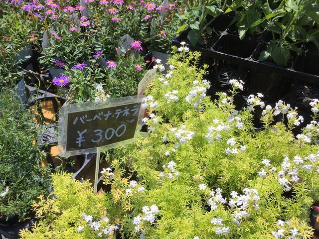 �������ԕc_�S����������