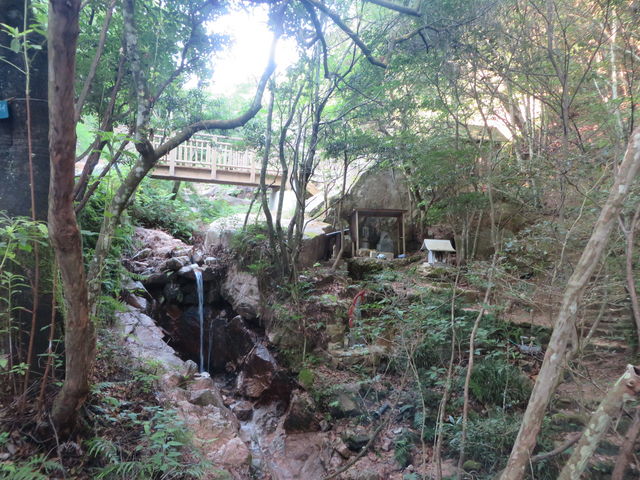 Ԃ񂳂̌䏊JR̓eʐ^5