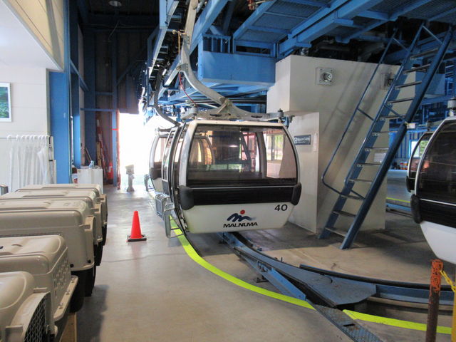 �S���h��_���������R���[�v�E�F�C