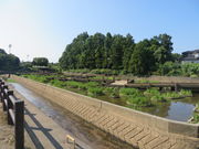 Ԃ񂳂݂̂₱LÉԏҊ̓eʐ^1