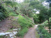 Ԃ񂳂̌䏊JR̓eʐ^6