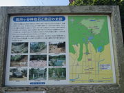 Ԃ񂳂̌䏊PJ_Đ΂̓eʐ^1