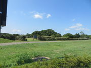 Ԃ񂳂̖LO{Ռ̓eʐ^1