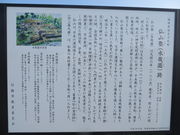 �Ԃ���񂳂�̐��Ɖ��̓��e�ʐ^3