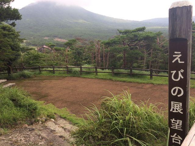 ���т̓W�]��_���т̍���