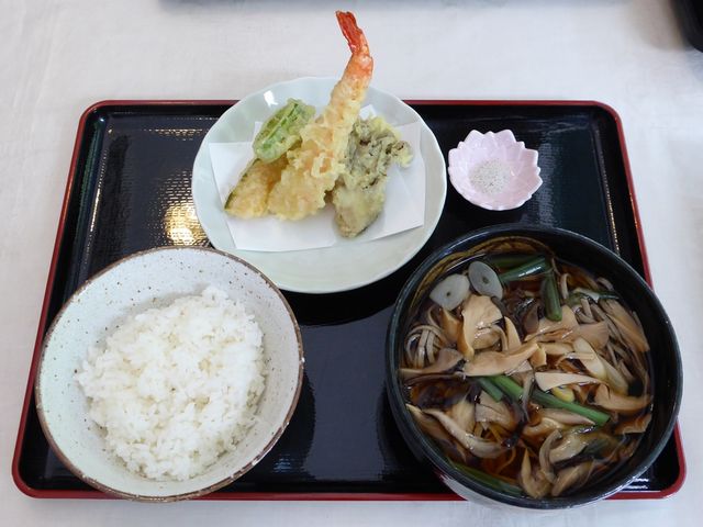 �c�ɒ�H_�ւ�K�[�f��