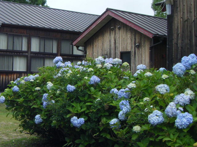 TKS̐̋ӂꂠZ^[̓eʐ^1