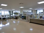 wE̋n̂ӂ邳Ɠē̓eʐ^1